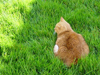 Amber final picture Amber final picture